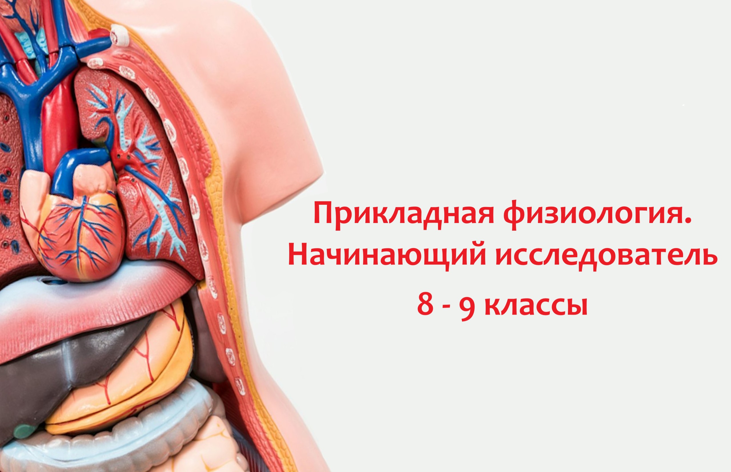 Прикладная физиология. Начинающий исследователь Прикладная физиология. Начинающий исследователь
